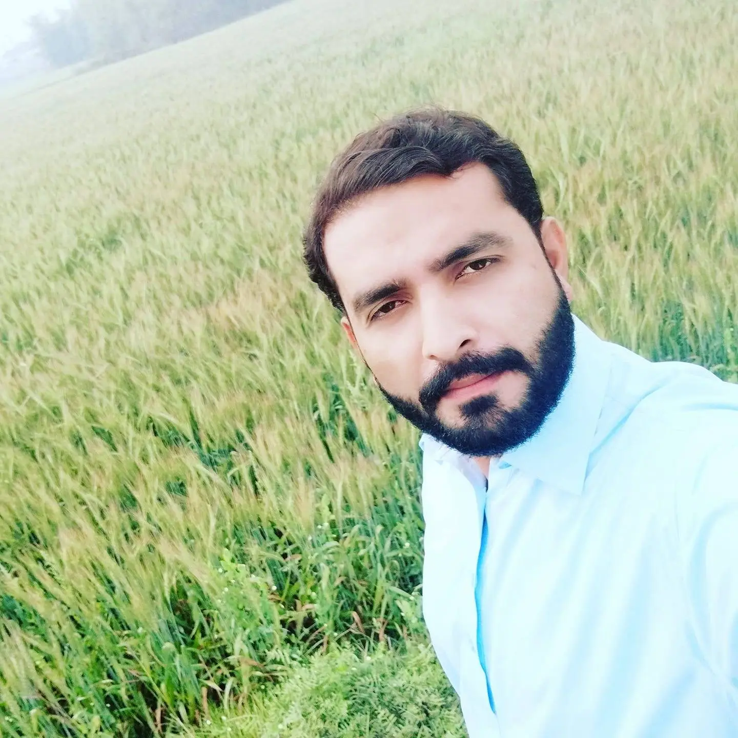 Wasim Ali